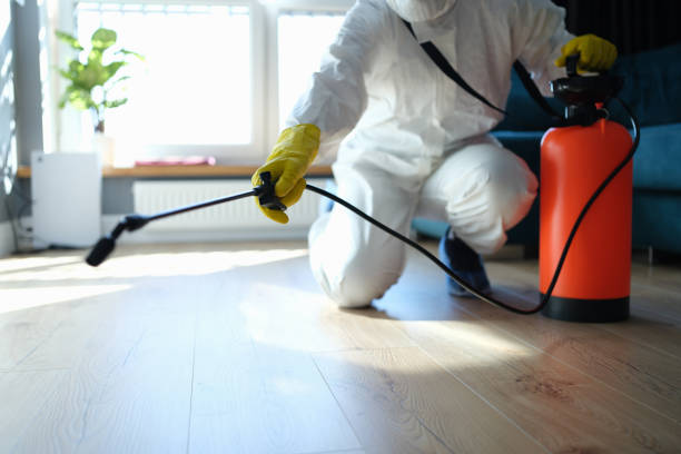 Reliable Biohazard Cleanup contractor in Hayward, CA by Trauma Clean Pros